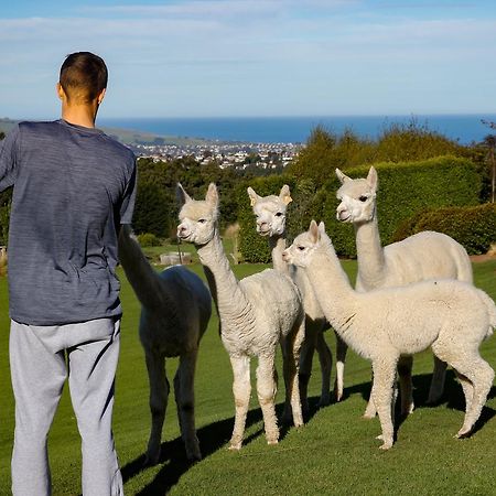 Alpaca Farmstay Dunedin Eksteriør bilde