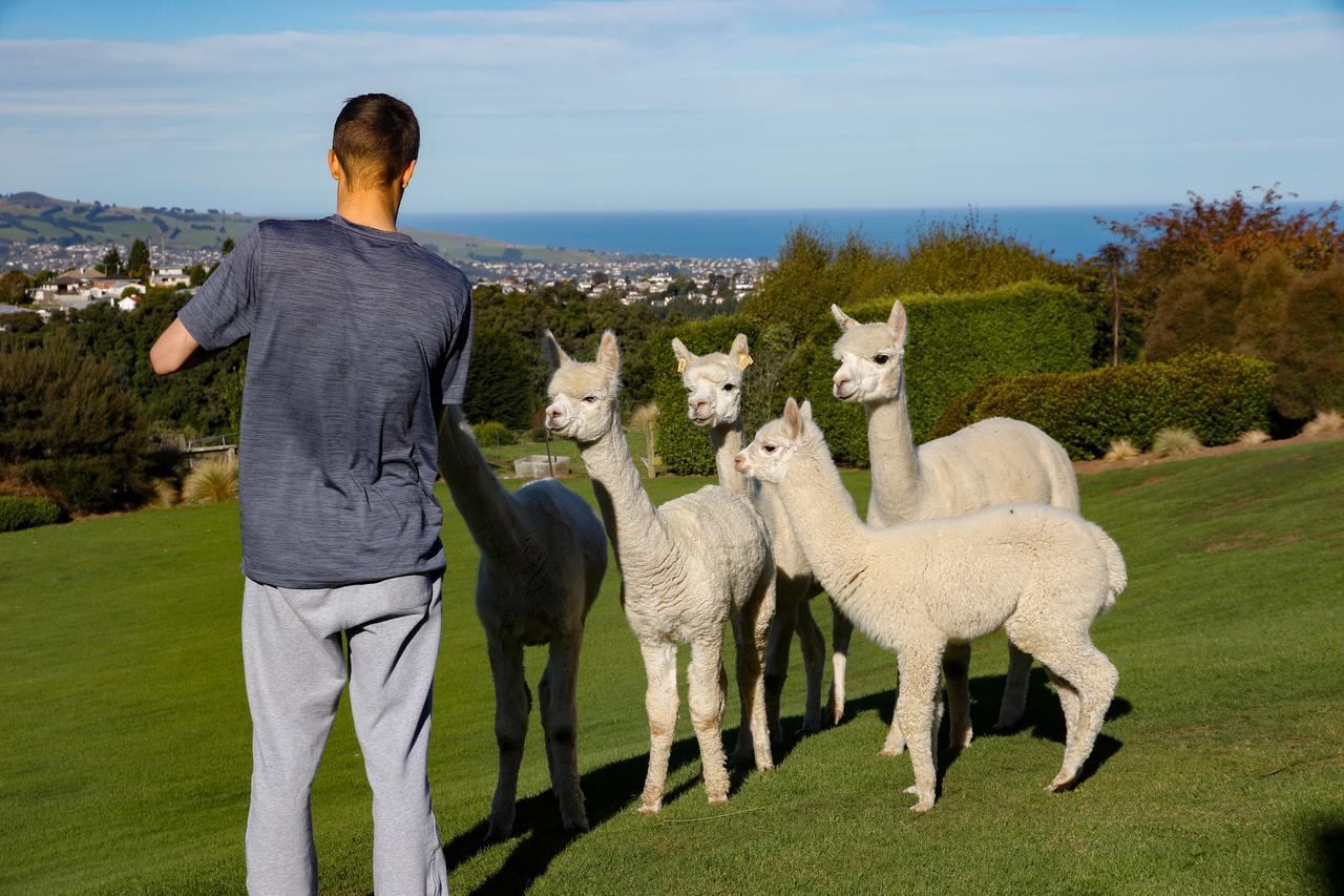Alpaca Farmstay Dunedin Eksteriør bilde